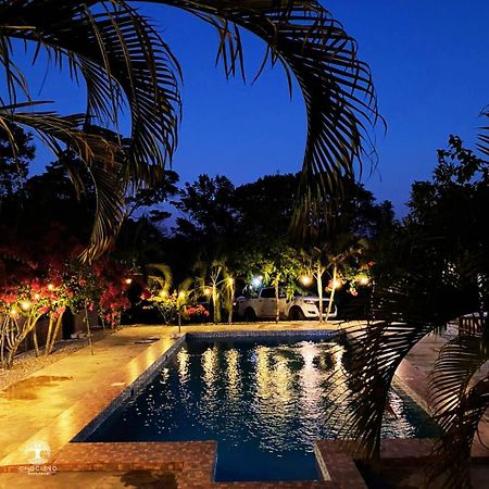Choclino Ecolodge -Bungalows تارابوتو المظهر الخارجي الصورة