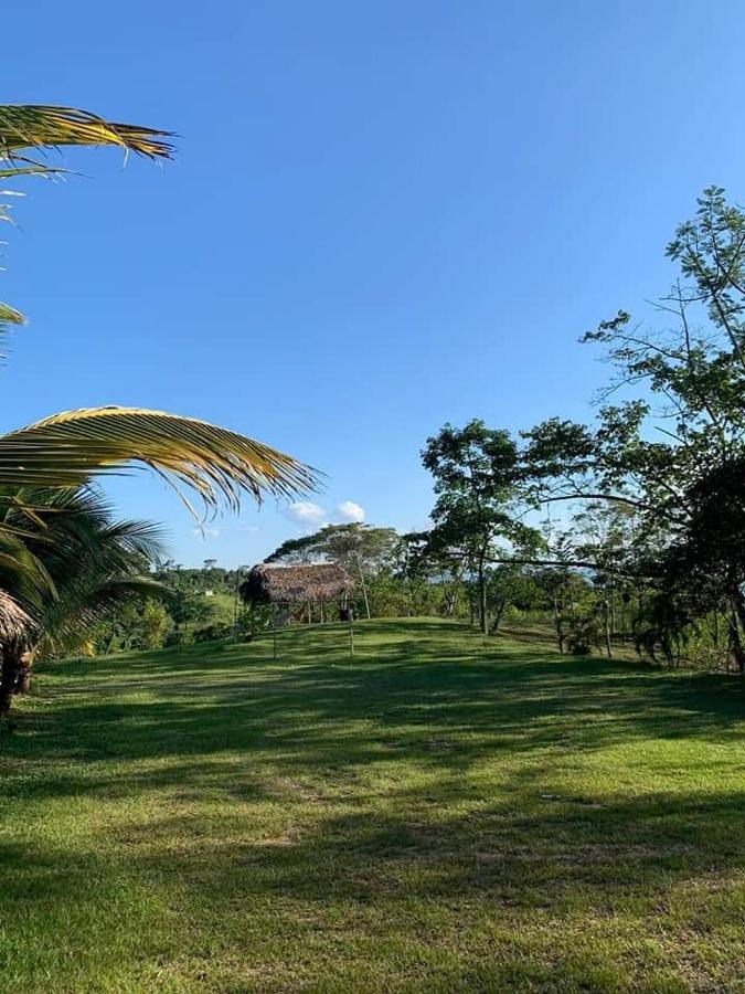 Choclino Ecolodge -Bungalows تارابوتو المظهر الخارجي الصورة