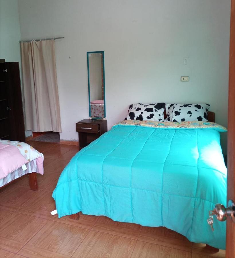 Choclino Ecolodge -Bungalows تارابوتو المظهر الخارجي الصورة