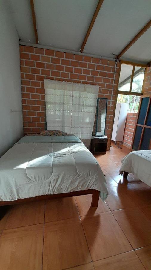 Choclino Ecolodge -Bungalows تارابوتو المظهر الخارجي الصورة