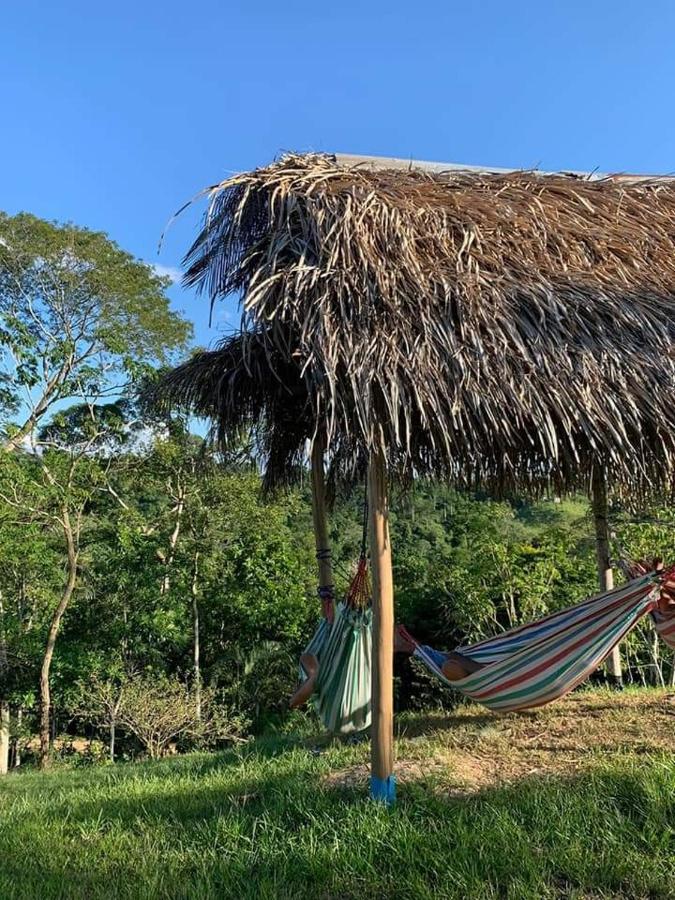 Choclino Ecolodge -Bungalows تارابوتو المظهر الخارجي الصورة