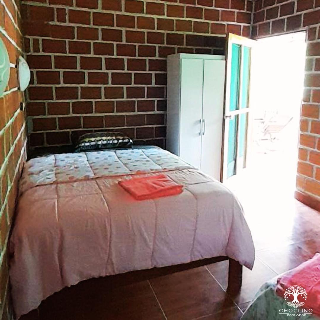 Choclino Ecolodge -Bungalows تارابوتو المظهر الخارجي الصورة
