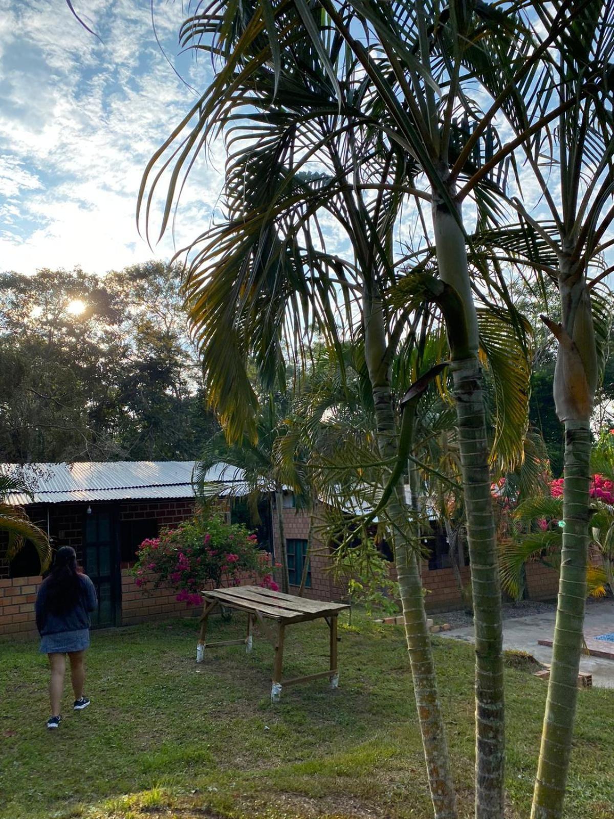 Choclino Ecolodge -Bungalows تارابوتو المظهر الخارجي الصورة