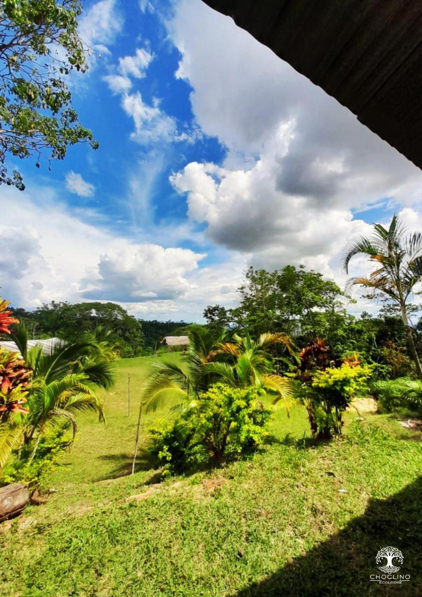 Choclino Ecolodge -Bungalows تارابوتو المظهر الخارجي الصورة