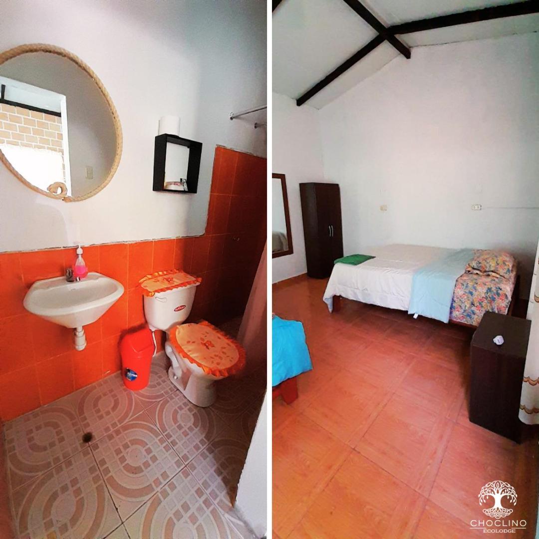 Choclino Ecolodge -Bungalows تارابوتو المظهر الخارجي الصورة