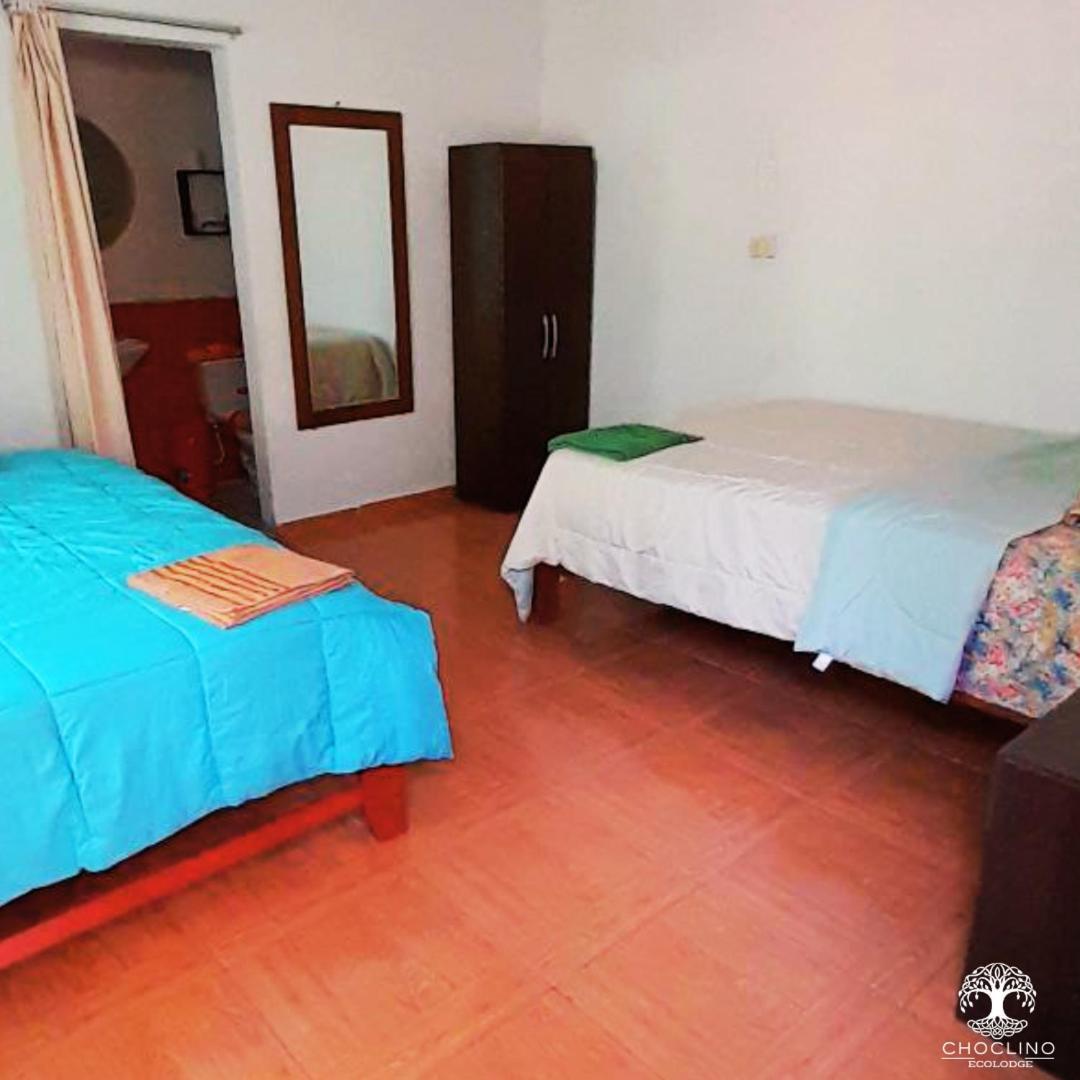 Choclino Ecolodge -Bungalows تارابوتو المظهر الخارجي الصورة