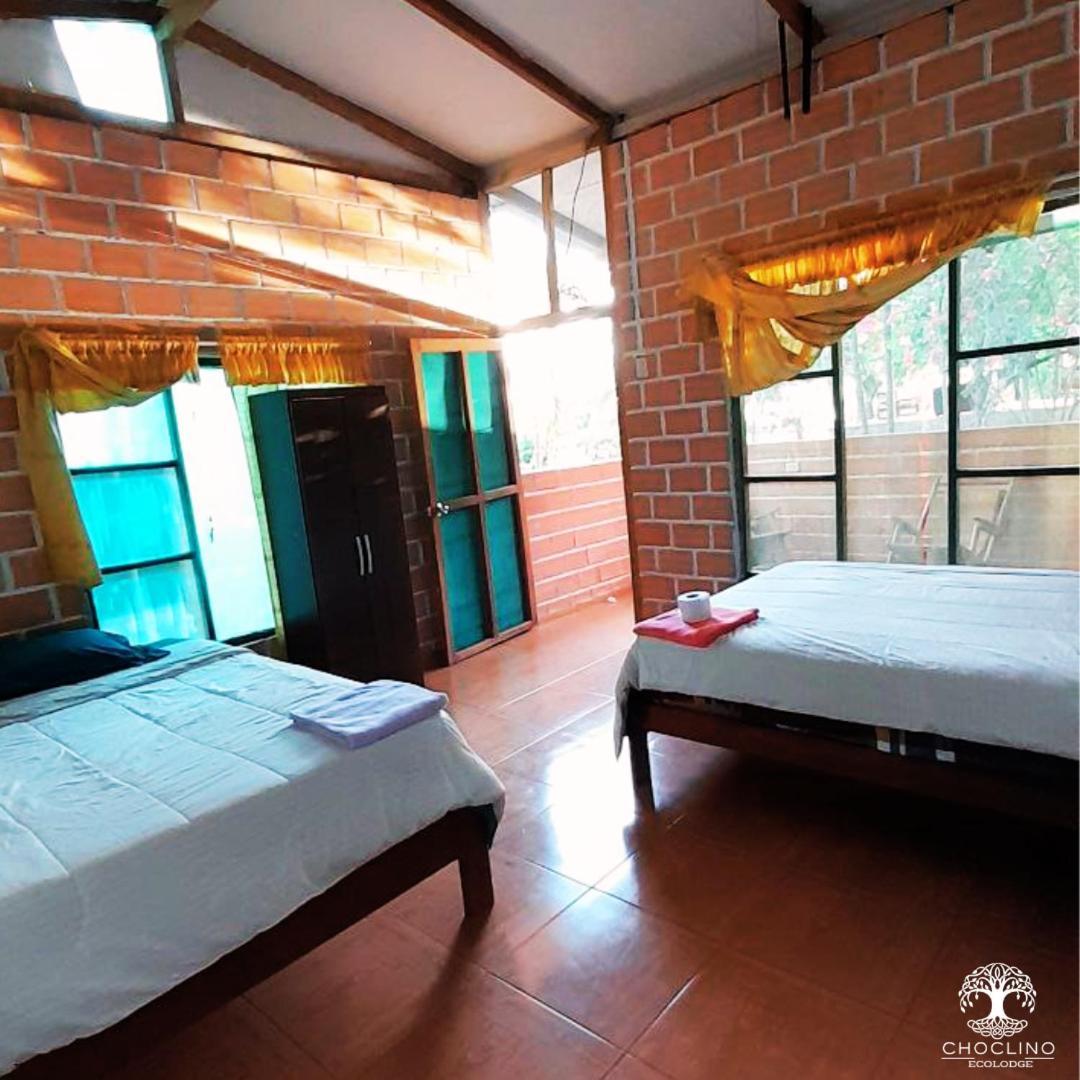 Choclino Ecolodge -Bungalows تارابوتو المظهر الخارجي الصورة