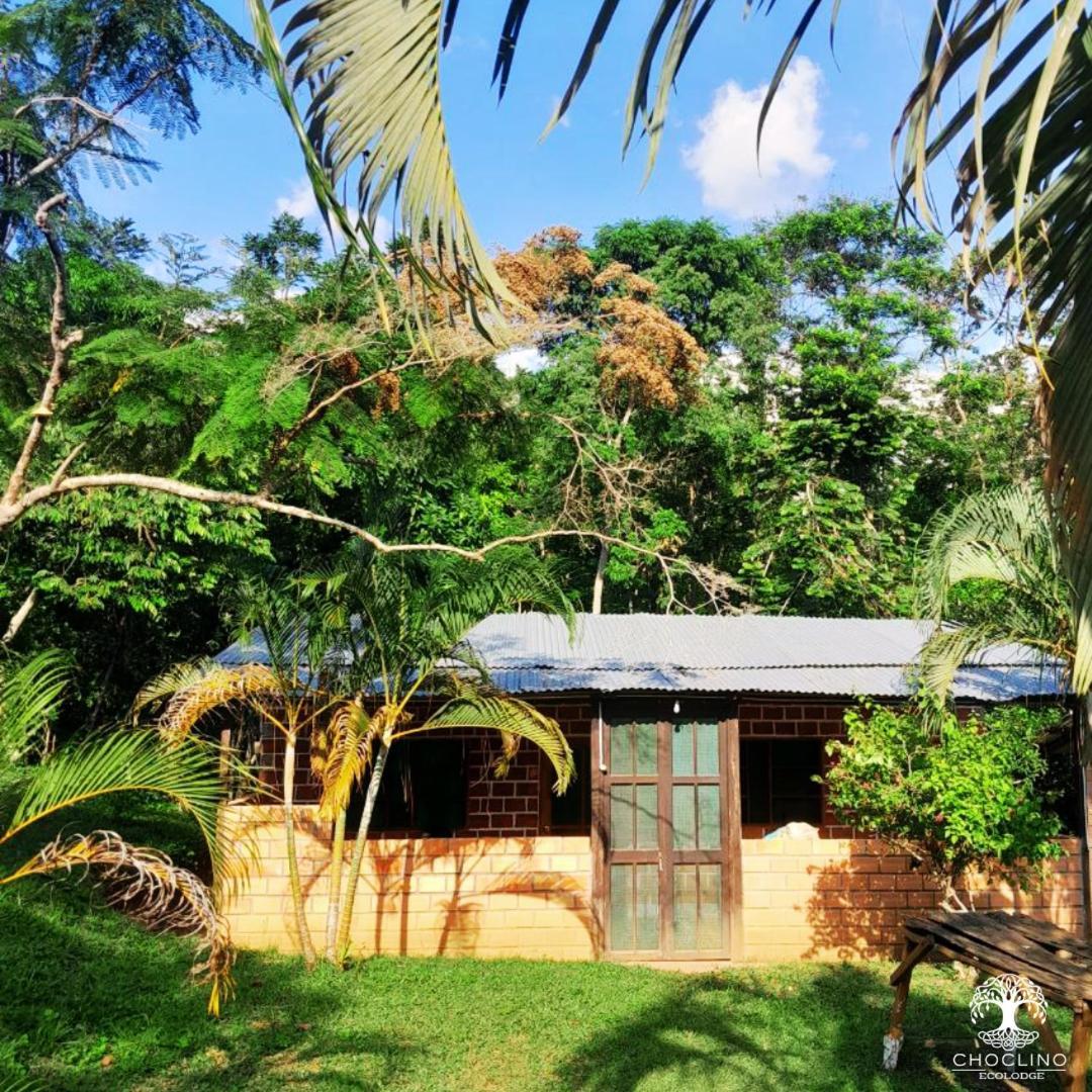 Choclino Ecolodge -Bungalows تارابوتو المظهر الخارجي الصورة