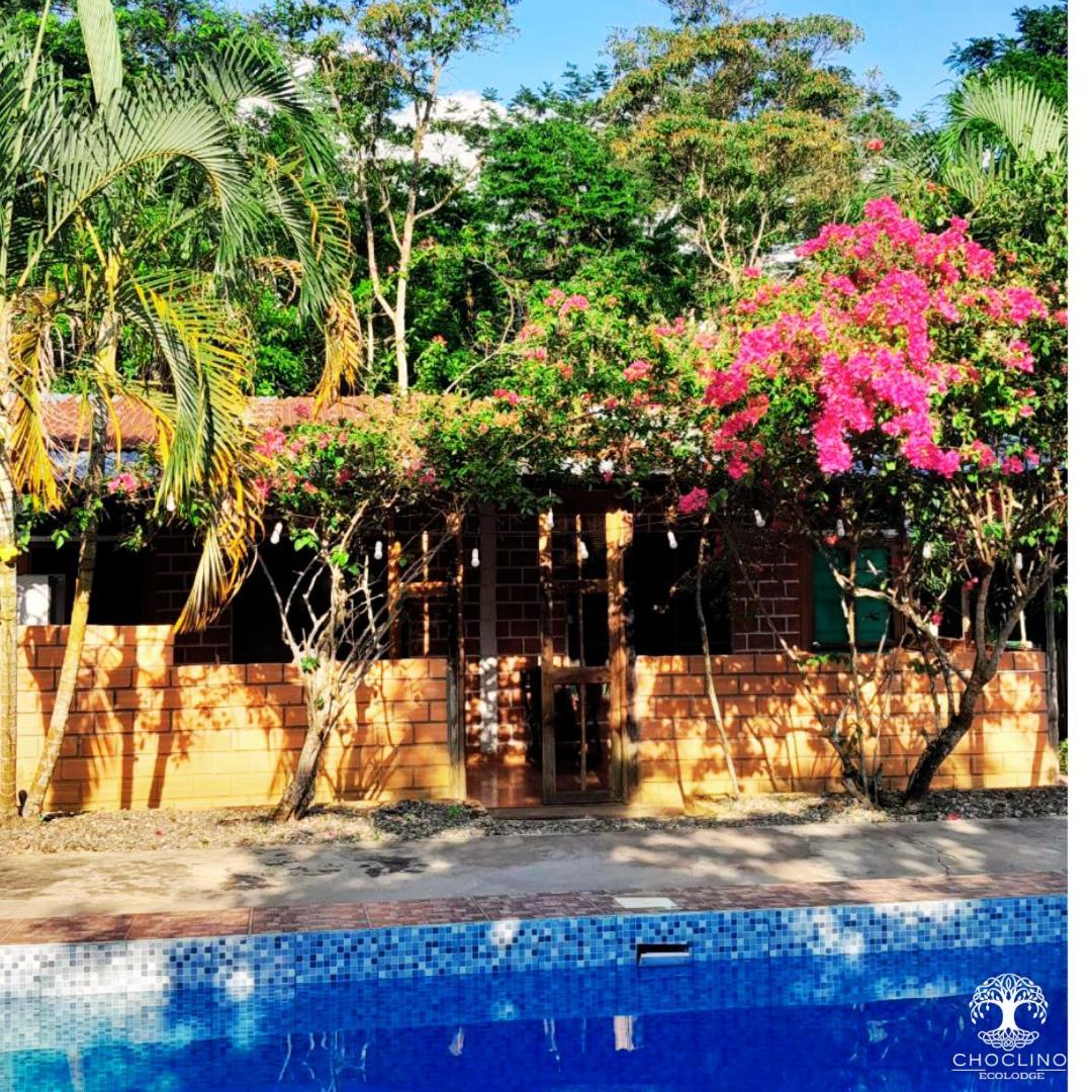 Choclino Ecolodge -Bungalows تارابوتو المظهر الخارجي الصورة
