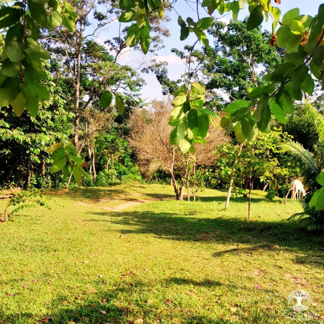 Choclino Ecolodge -Bungalows تارابوتو المظهر الخارجي الصورة