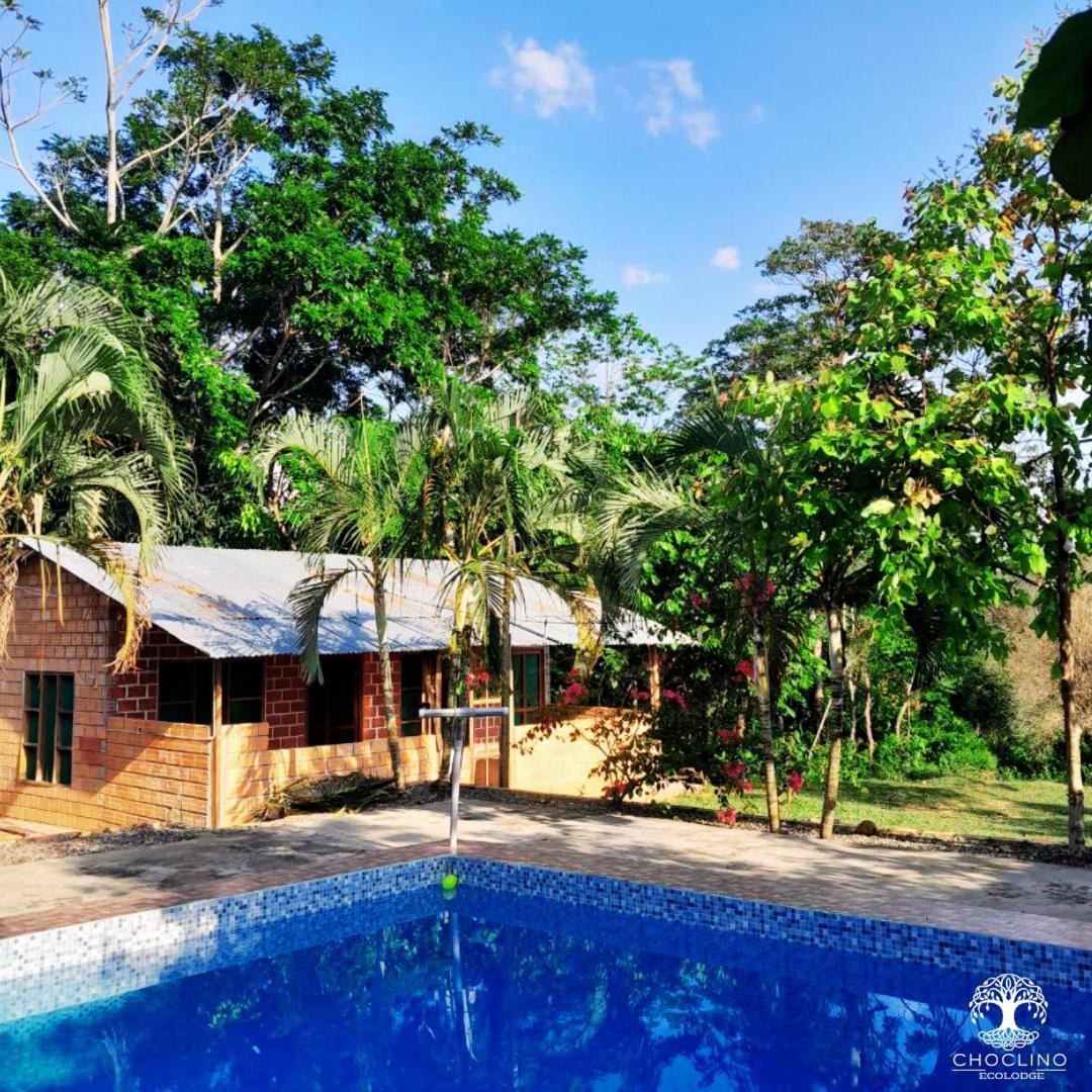 Choclino Ecolodge -Bungalows تارابوتو المظهر الخارجي الصورة