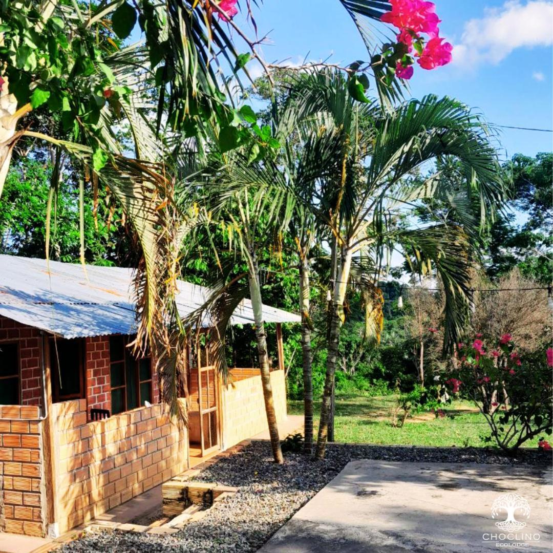 Choclino Ecolodge -Bungalows تارابوتو المظهر الخارجي الصورة