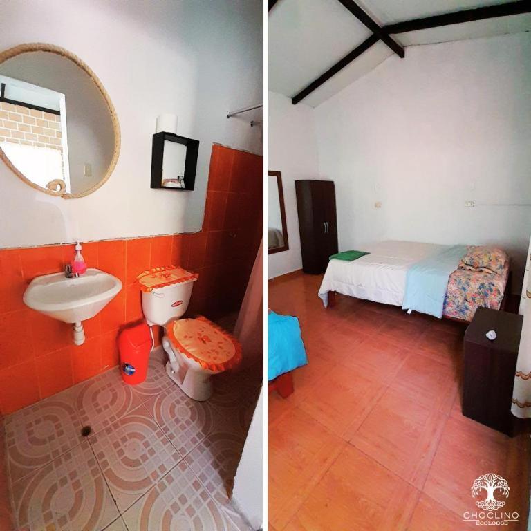 Choclino Ecolodge -Bungalows تارابوتو المظهر الخارجي الصورة