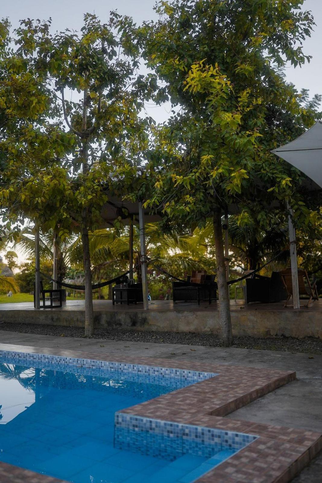 Choclino Ecolodge -Bungalows تارابوتو المظهر الخارجي الصورة