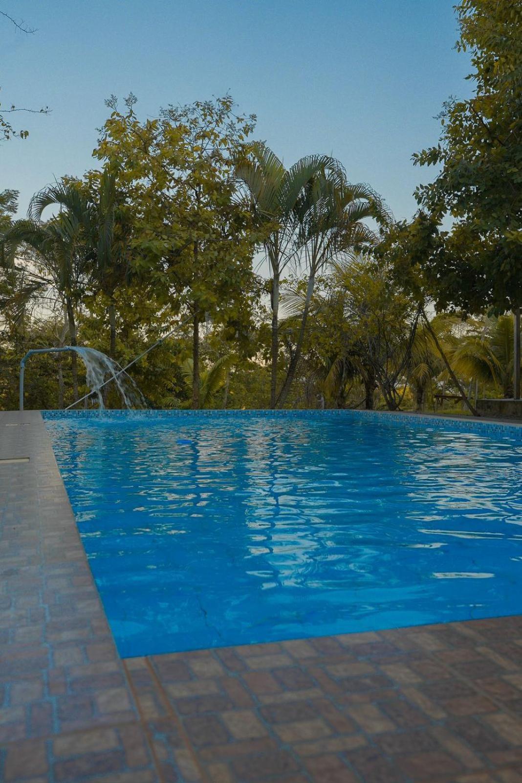 Choclino Ecolodge -Bungalows تارابوتو المظهر الخارجي الصورة
